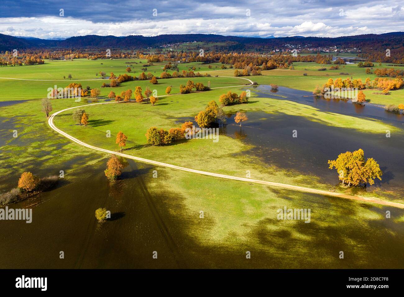 Planinsko polje, pianura di Planina lago intermitten, campi allagati con alberi, non lontano dal lago Cerknica, Slovenia Foto Stock