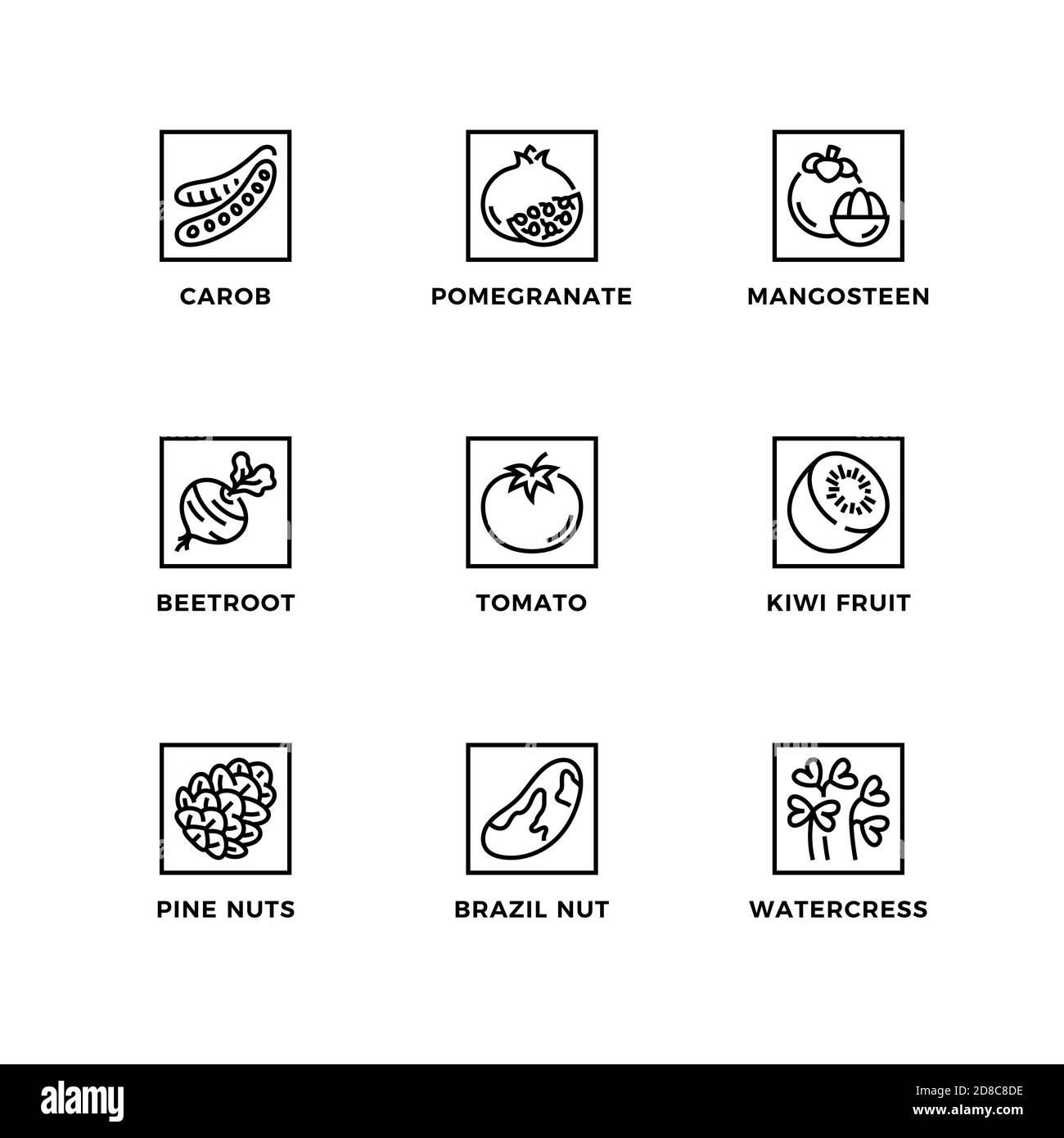 Insieme vettoriale di elementi di design, modello di logo, icone e badge per super cibo. Set di icone di linea, tratto modificabile. Illustrazione Vettoriale