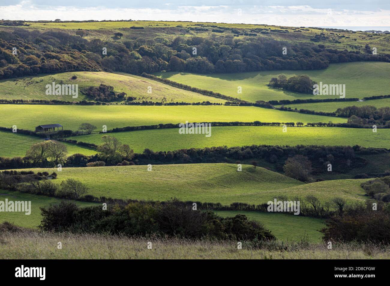 Vista da Luccombe giù verso Wroxall giù, Isola di Wight Foto Stock