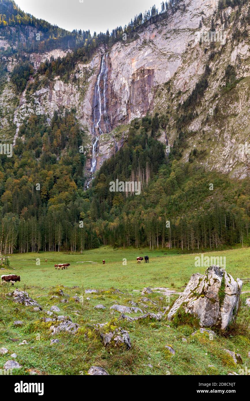 La cascata Roethbachfall, la più alta della Germania vicino all'Obersee in Berchtesgadener Land, Baviera. Foto Stock