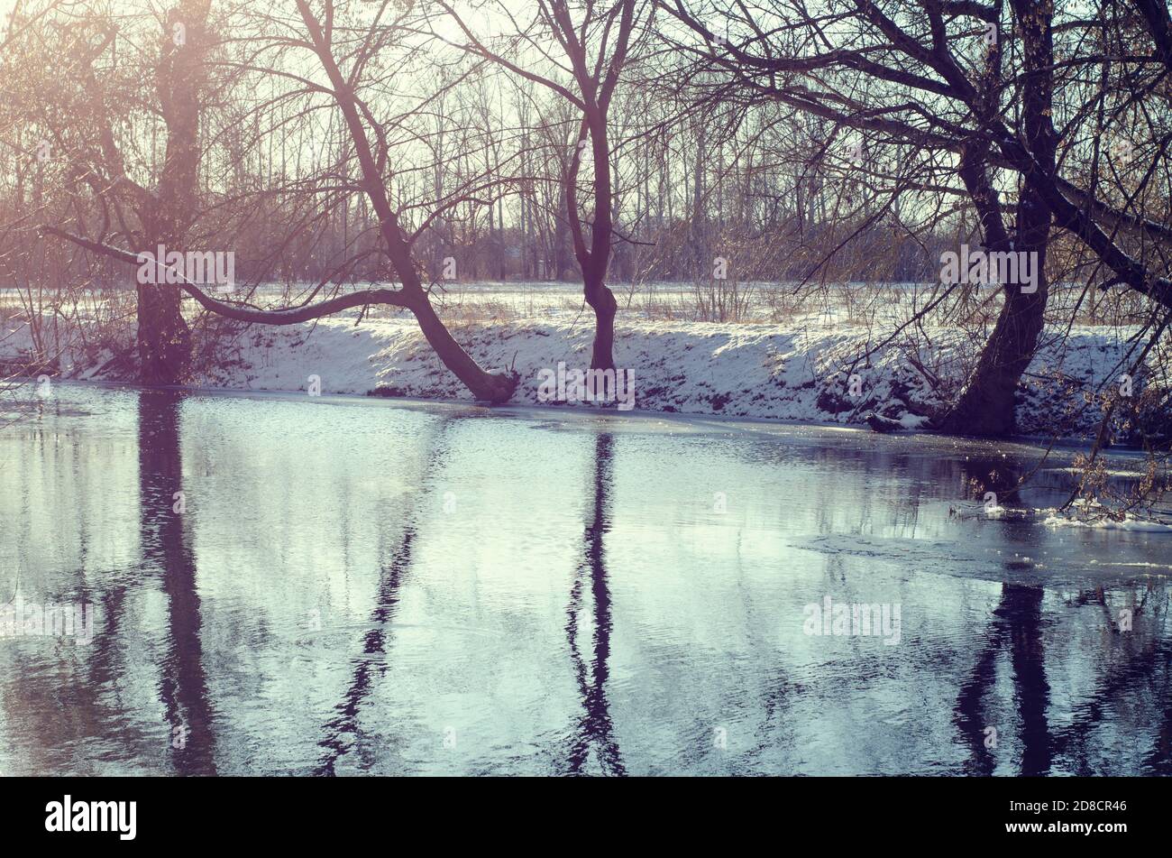 fiume rurale con riflessi di alberi Foto Stock