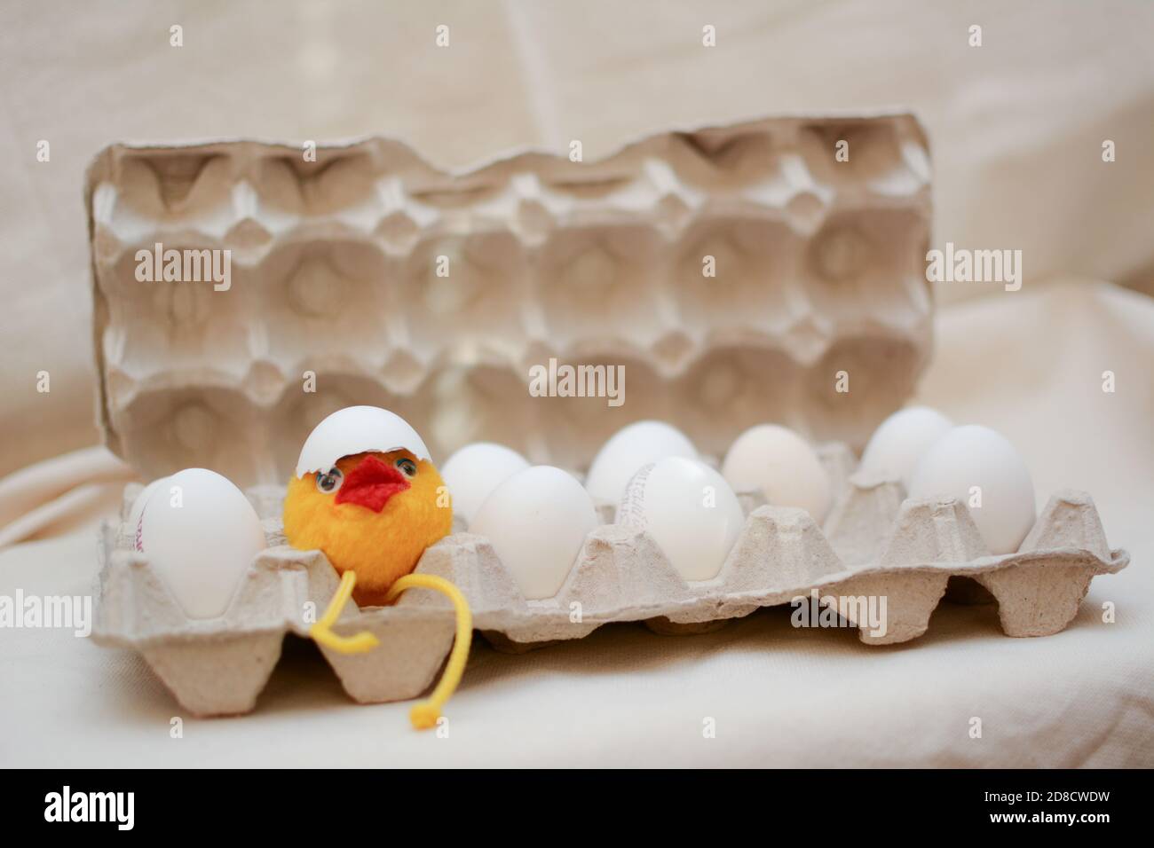 Uova di pollo concetto. Pulcini giocattolo covati da uova in una scatola di uova. Foto Stock