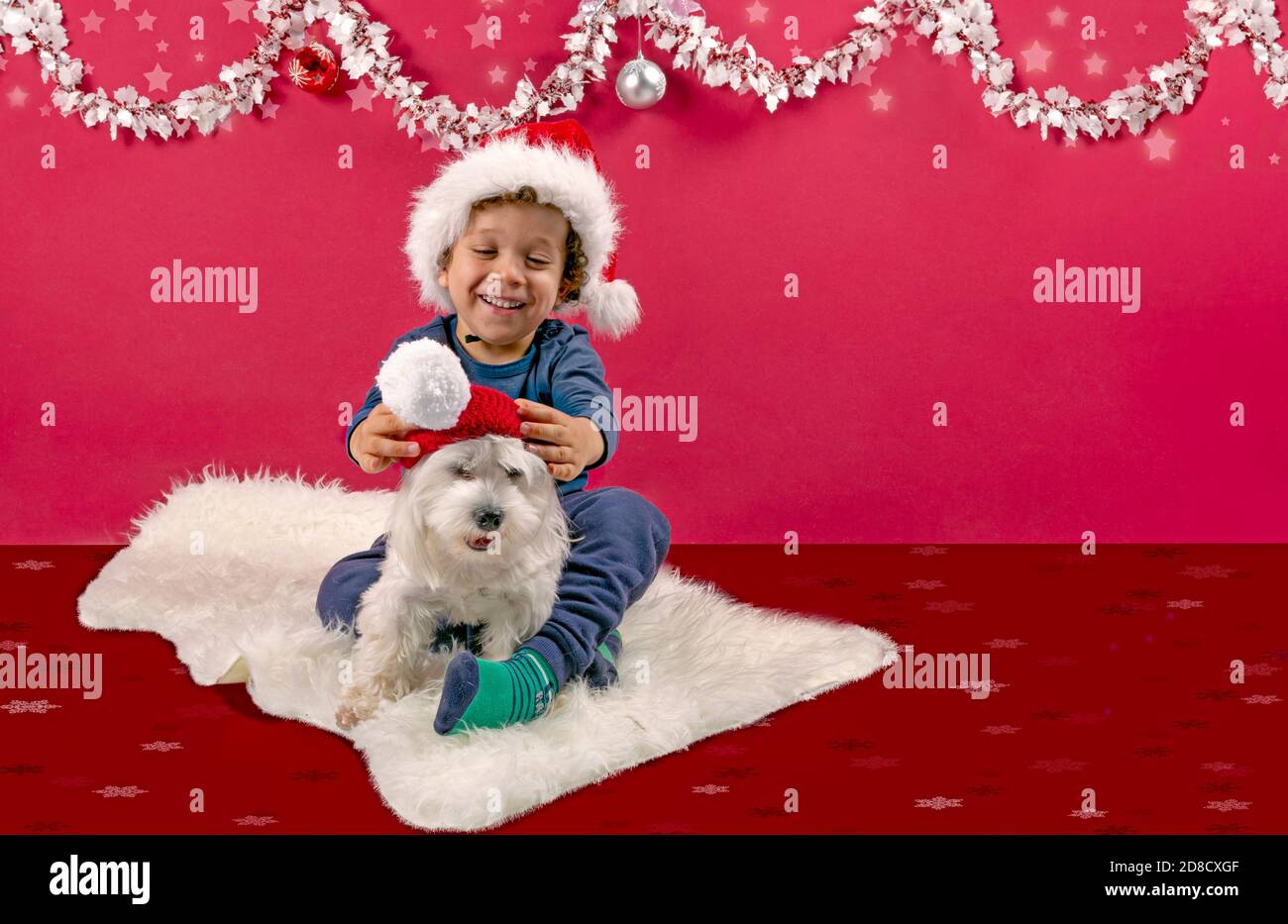 Bel ragazzo che gioca e ride con il suo cane putting Su un cappello di Santa in una decorazione tipica di Natale Foto Stock