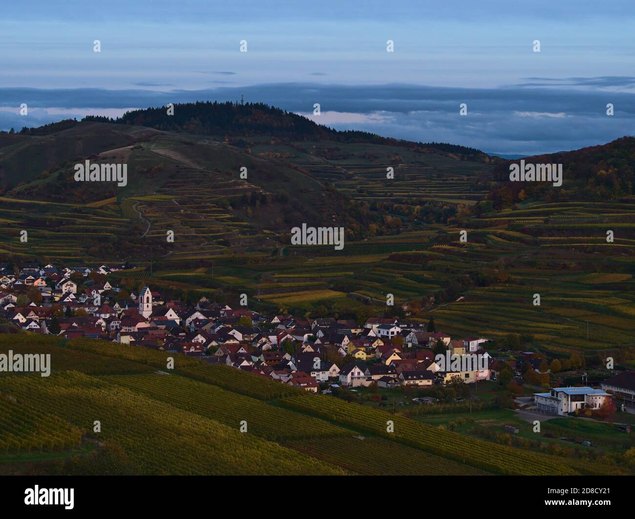 Veduta aerea del piccolo villaggio Oberbergen situato in una valle a Kaiserstuhl, Germania circondato da vigneti terrazzati nella luce della sera in autunno. Foto Stock