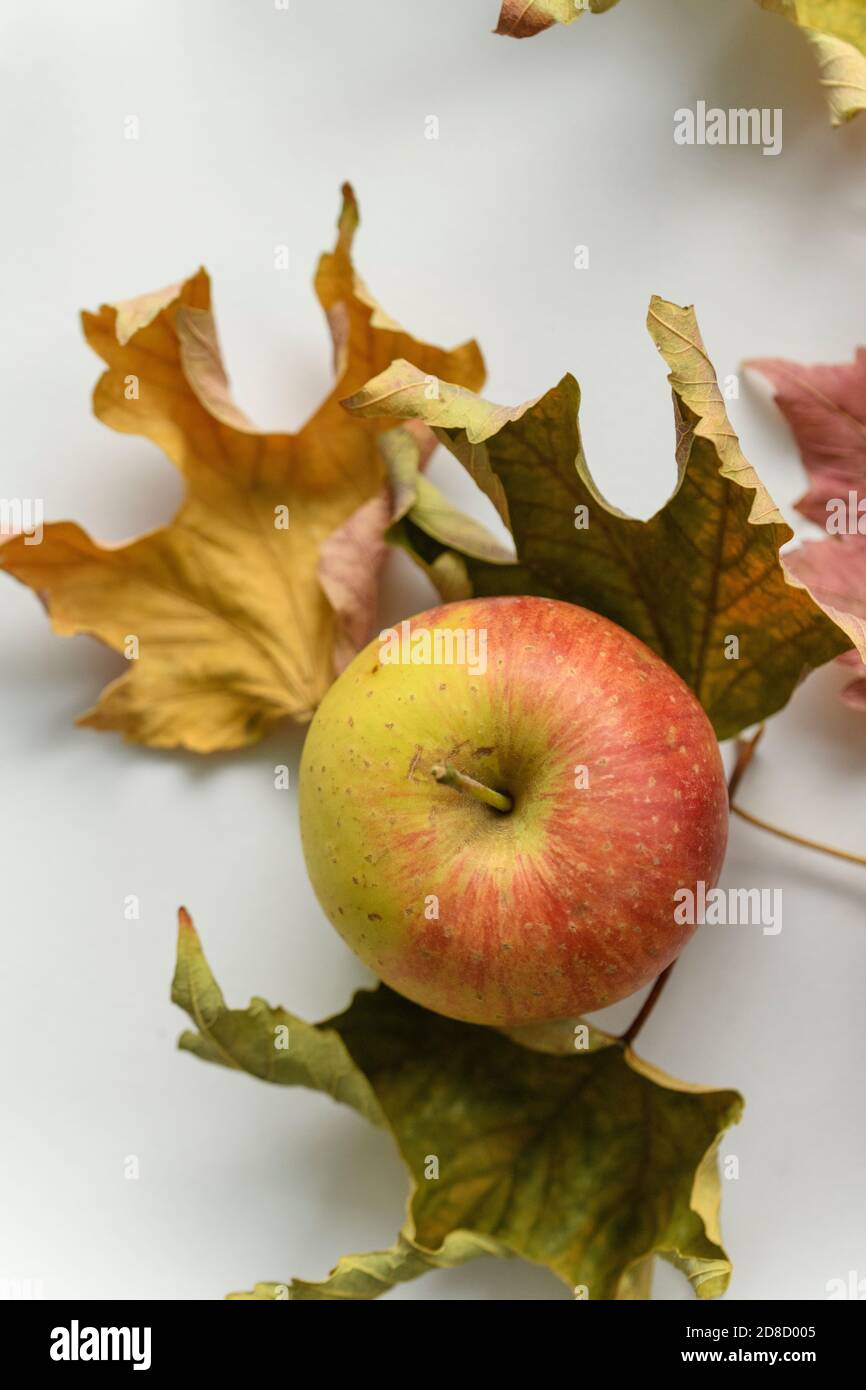 Mele e foglie secche in uno scenario autunnale Foto Stock