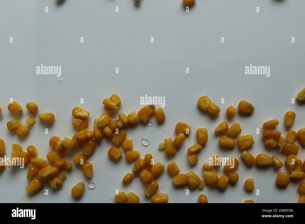 cibo sfondo giallo brillante zucchero grano mais ai bordi in alto a destra o dal basso verso l'alto uno spazio per la copia su sfondo bianco chiaro Foto Stock