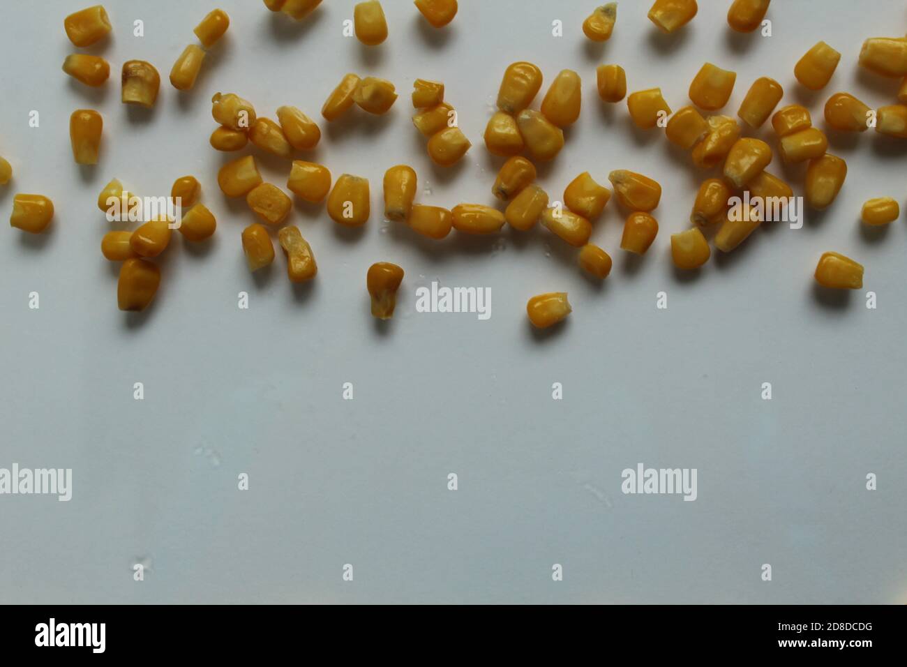 cibo sfondo giallo brillante zucchero grano mais ai bordi in alto a destra o dal basso verso l'alto uno spazio per la copia su sfondo bianco chiaro Foto Stock