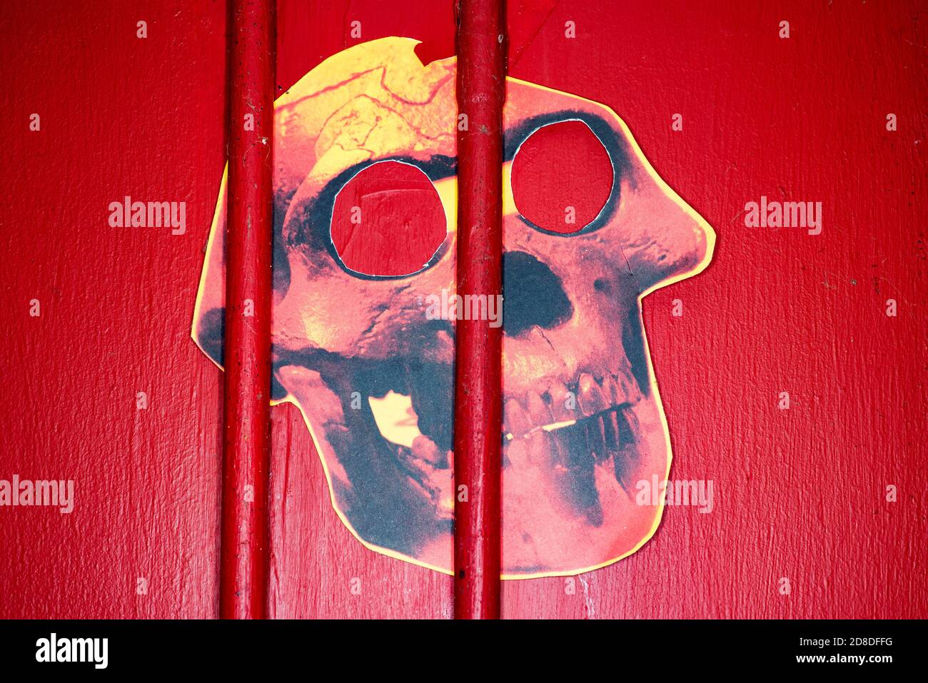 Maschera cranio Foto Stock