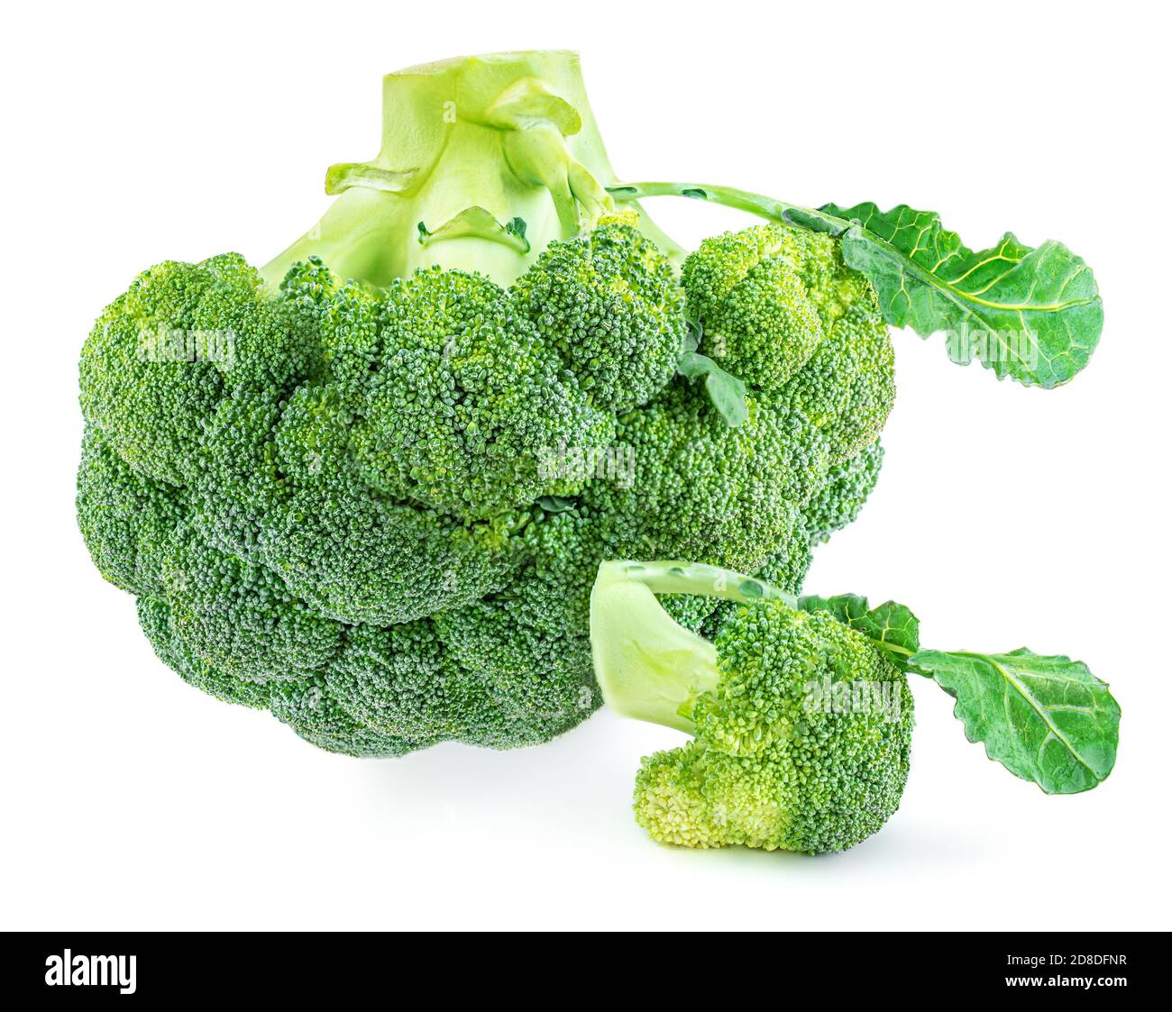 Broccoli isolati su sfondo bianco. Primo piano di verdure crude di broccoli Foto Stock