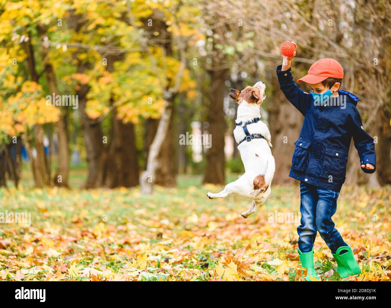 Ragazzo in maschera protettiva del viso teases cane con gioco giocattolo a distanza da altre persone Foto Stock