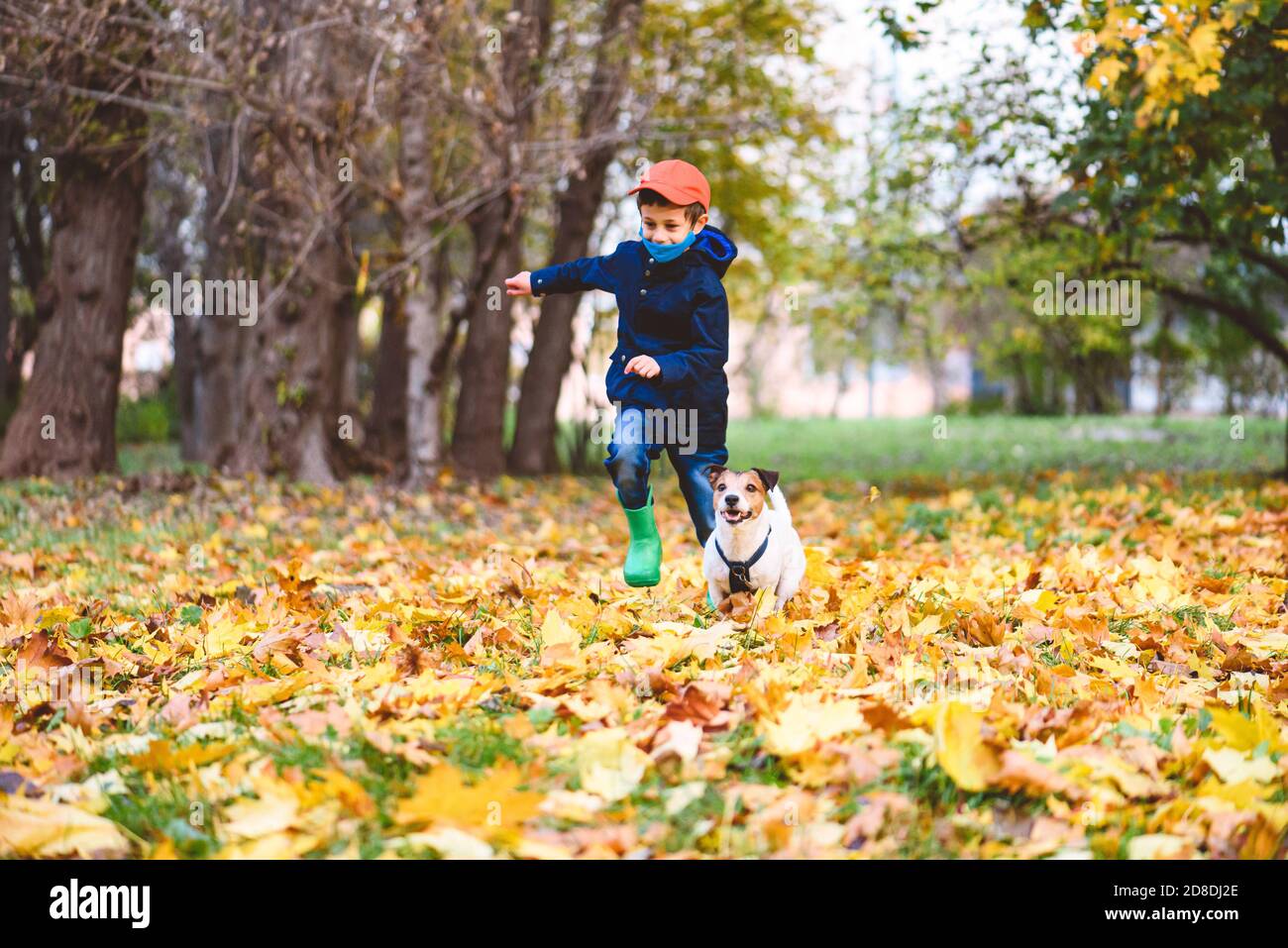 Il ragazzo in maschera compete con il suo cane che gioca da solo separatamente dalle altre persone nel parco Foto Stock