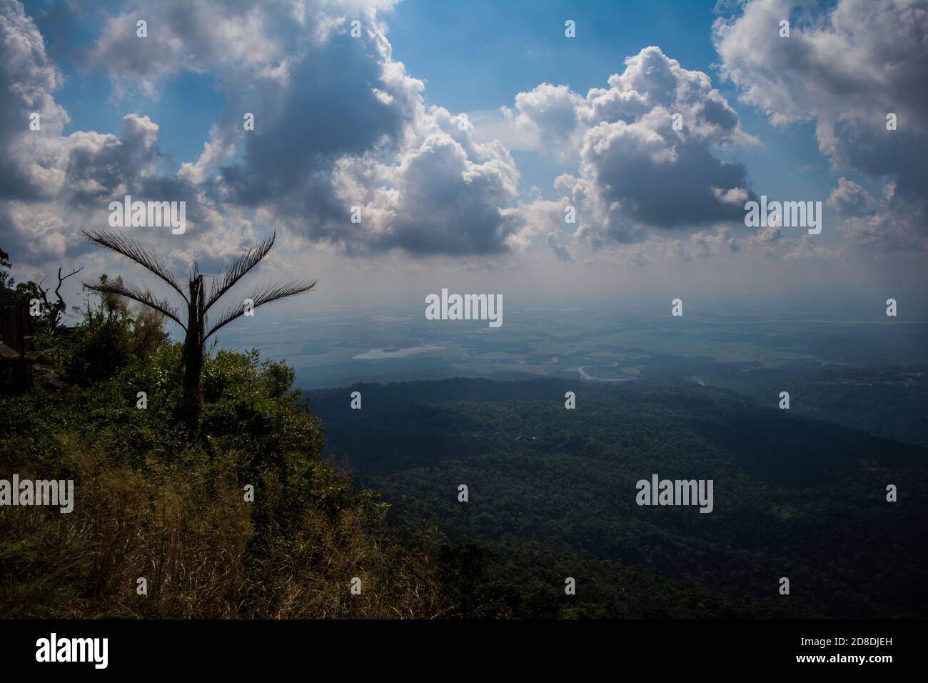 Eco Park Cherrapunji, Meghalaya. Splendida vista sui Green Canyons di Cherapunji, splendida vista sulle pianure del Bangladesh Foto Stock