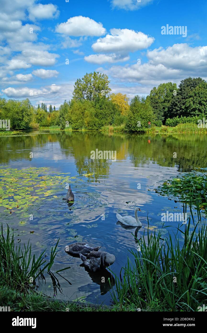 Regno Unito, South Yorkshire, Barnsley, Goldthorpe, Bolton Brick Ponds Foto Stock