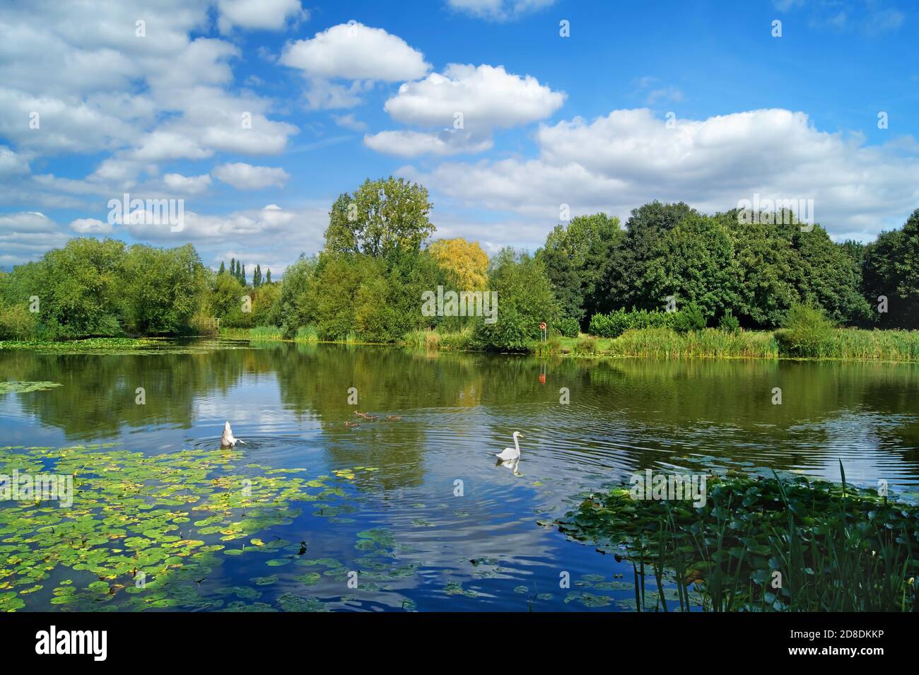 Regno Unito, South Yorkshire, Barnsley, Goldthorpe, Bolton Brick Ponds Foto Stock