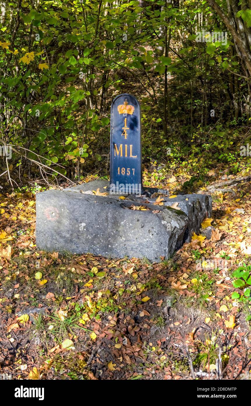 Una vecchia pietra miliare ai margini della foresta. Foto Stock