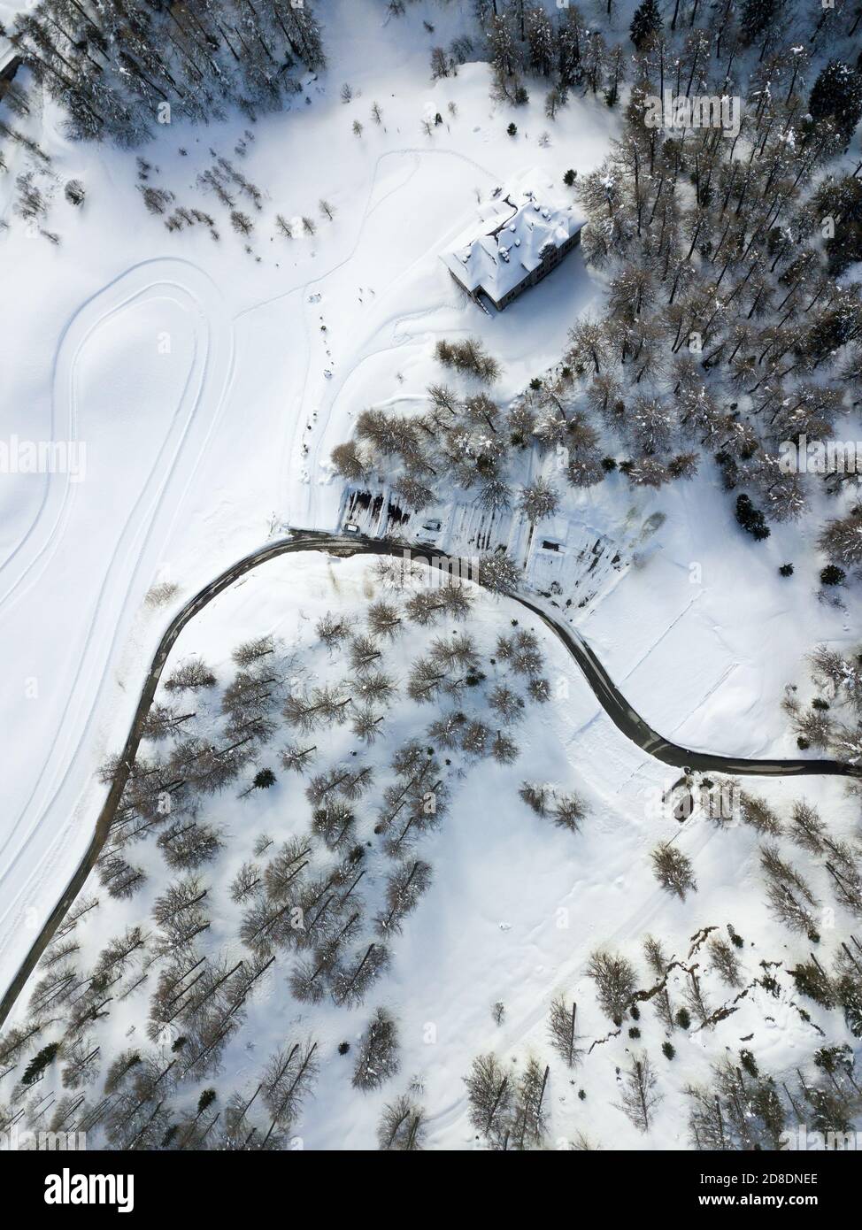 Una strada curvilinea attraverso la montagna e la foresta e la neve campo con pista da sci di fondo in inverno Foto Stock