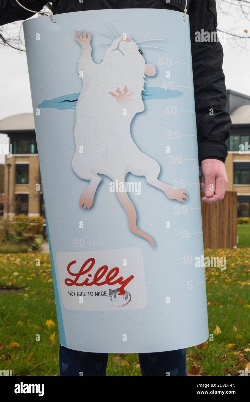 Bracknell, Regno Unito. 29 ottobre 2020. Un sostenitore del PETA che indossa un costume raffigurante un becher d’acqua in cui un topo sta lottando per rimanere a galla proteste fuori dal centro di ricerca e sviluppo di Eli Lilly per chiedere alla società farmaceutica statunitense di vietare il test di nuoto forzato. L'ente benefico per i diritti degli animali PETA UK sostiene che il test forzato di nuoto durante il quale i piccoli animali vengono dosati con un farmaco antidepressivo, posto in becher inestimabili riempiti di acqua e costretti a nuotare per evitare l'annegamento è stato ampiamente screditato e che altre società farmaceutiche, tra cui Johnson & Johnson, GlaxoSmithKline, Pfizer, Bayer Foto Stock