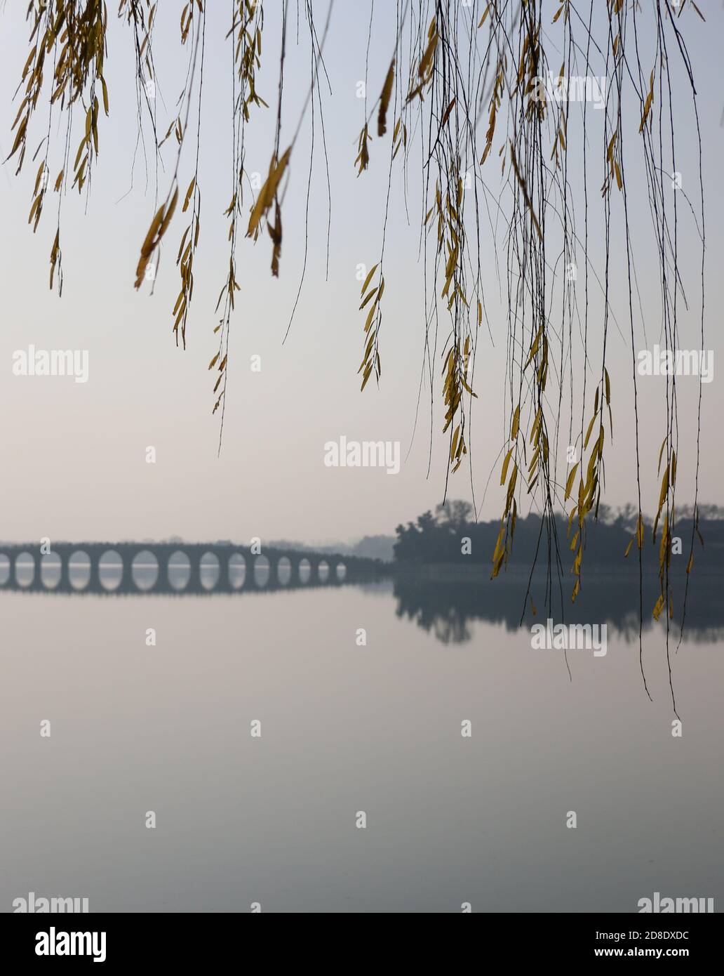 Ponte a diciassette archi sul lago Kunming al Palazzo Estivo di Pechino, incorniciato da rami salici e con spazio per la copia Foto Stock