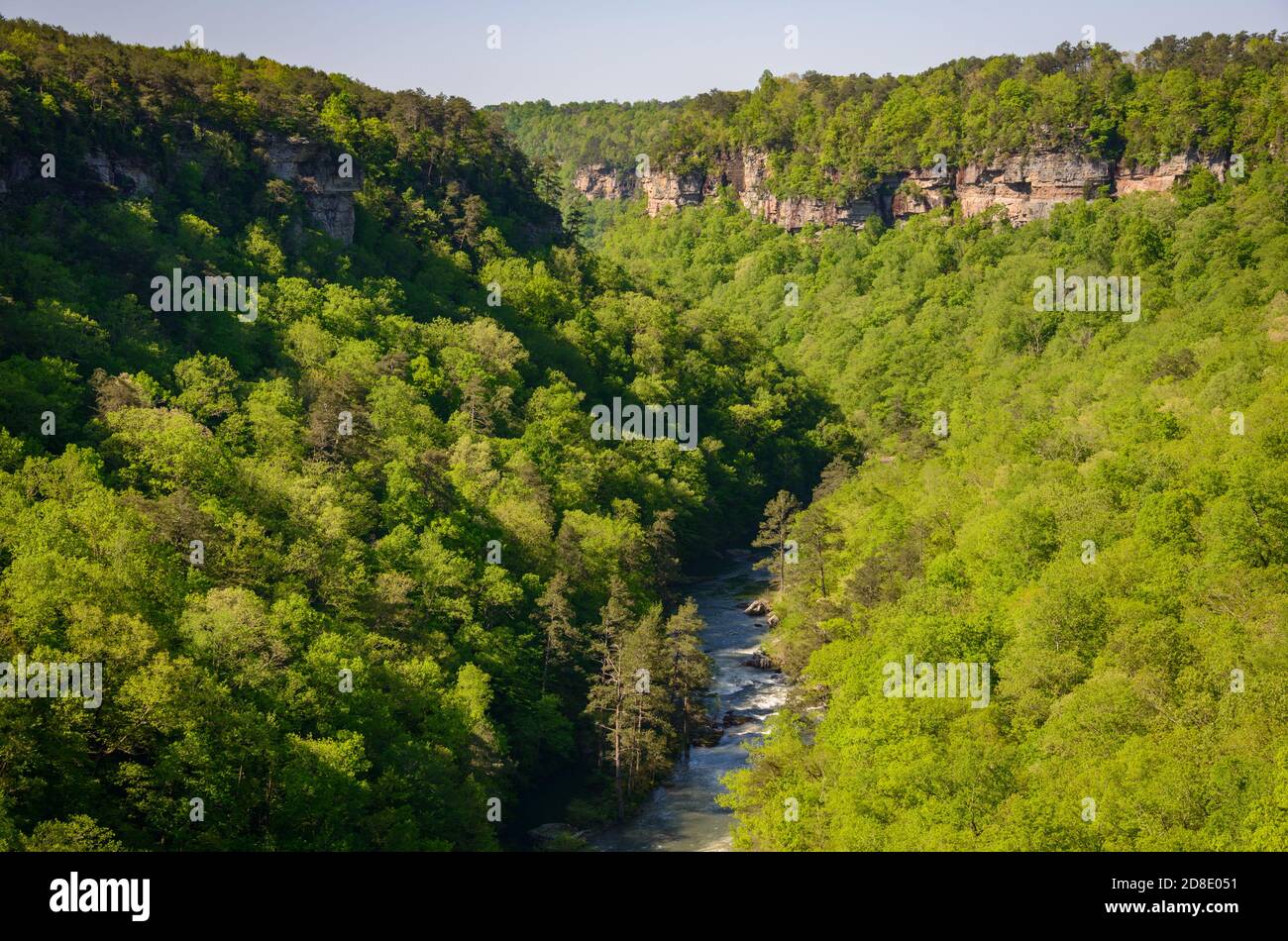 Si affacciano a poco River Canyon National Preserve Foto Stock
