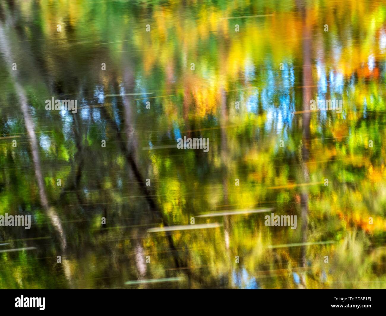 Riflessioni astratte autunnali nel fiume Nidd a Bilton Bank Boschi nella gola del Nidd vicino a Bilton Harrogate North Yorkshire Inghilterra Foto Stock