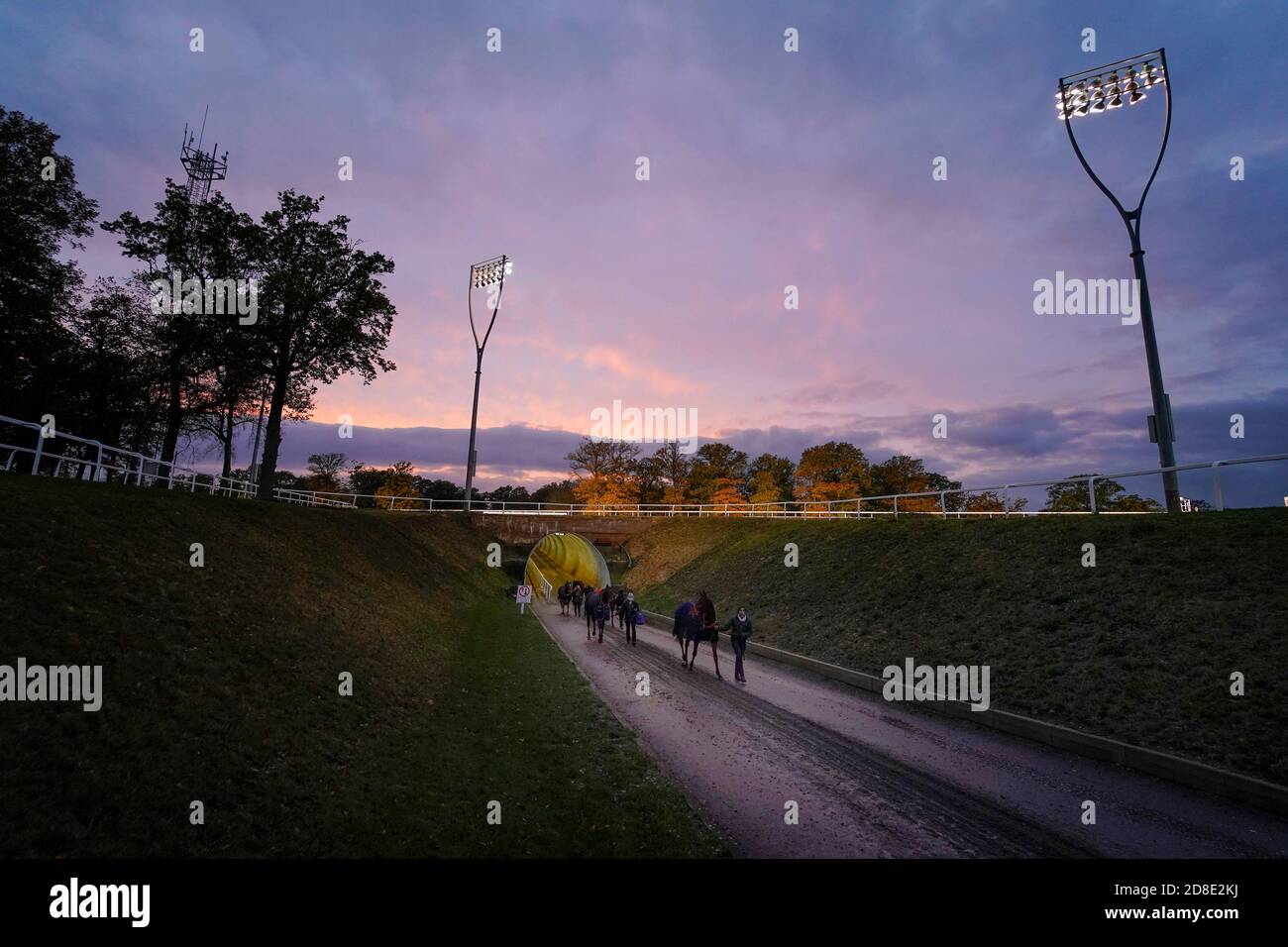 Una vista generale mentre i cavalli si fanno strada dal tunnel sotto il corso al ring della parata presso l'ippodromo di Chelmsford City. Foto Stock