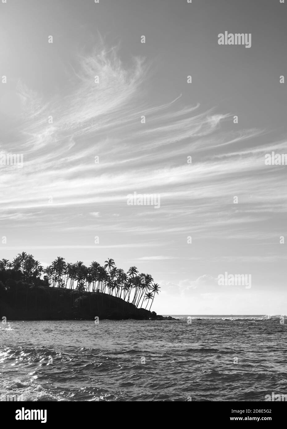 Immagine in bianco e nero della costa tropicale dell'isola con le silhouette delle palme al tramonto, Sri Lanka. Foto Stock