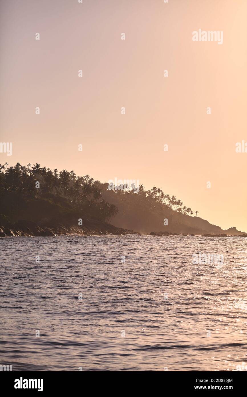 Costa dello Sri Lanka con le silhouette delle palme al tramonto. Foto Stock