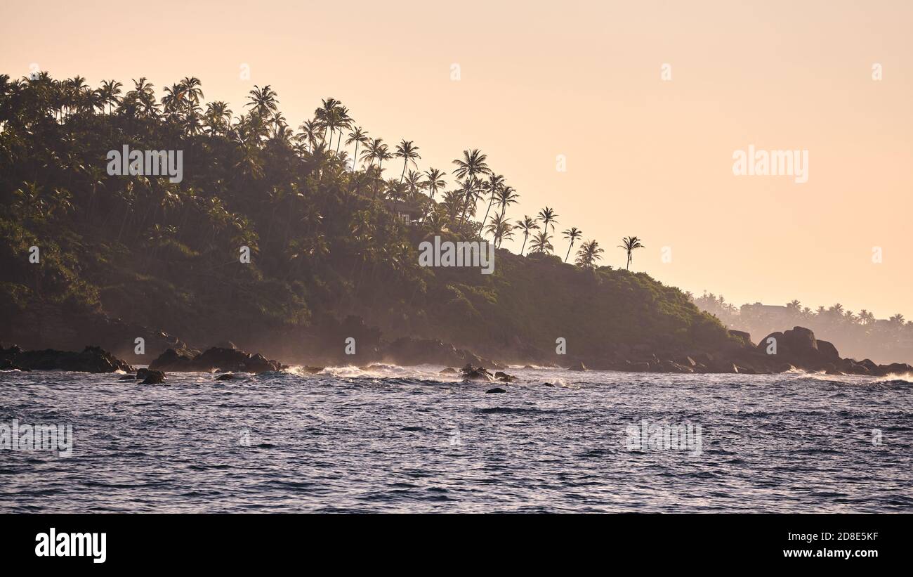 Costa dello Sri Lanka con le silhouette delle palme al tramonto. Foto Stock