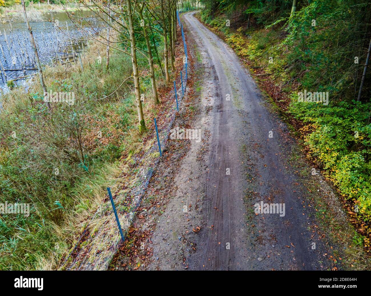 22 ottobre 2020, Meclemburgo-Pomerania occidentale, Korswandt: Al confine tra Polonia e Germania, è stata creata la nuova recinzione per la protezione contro la peste suina. (Fotografia aerea scattata con un drone) UNA recinzione metallica serve a prevenire il superamento dei cinghiali in caso di diffusione della peste suina africana (ASP) lungo la costa. La recinzione di cinghiali per la protezione contro la peste suina al confine con la Polonia è a metà strada finita nel Meclemburgo-Pomerania occidentale. Per prevenire l'introduzione della malattia animale, diffusa in Polonia, lo Stato sta costruendo la recinzione lunga 62.5 chilometri.7 Foto: Foto Stock
