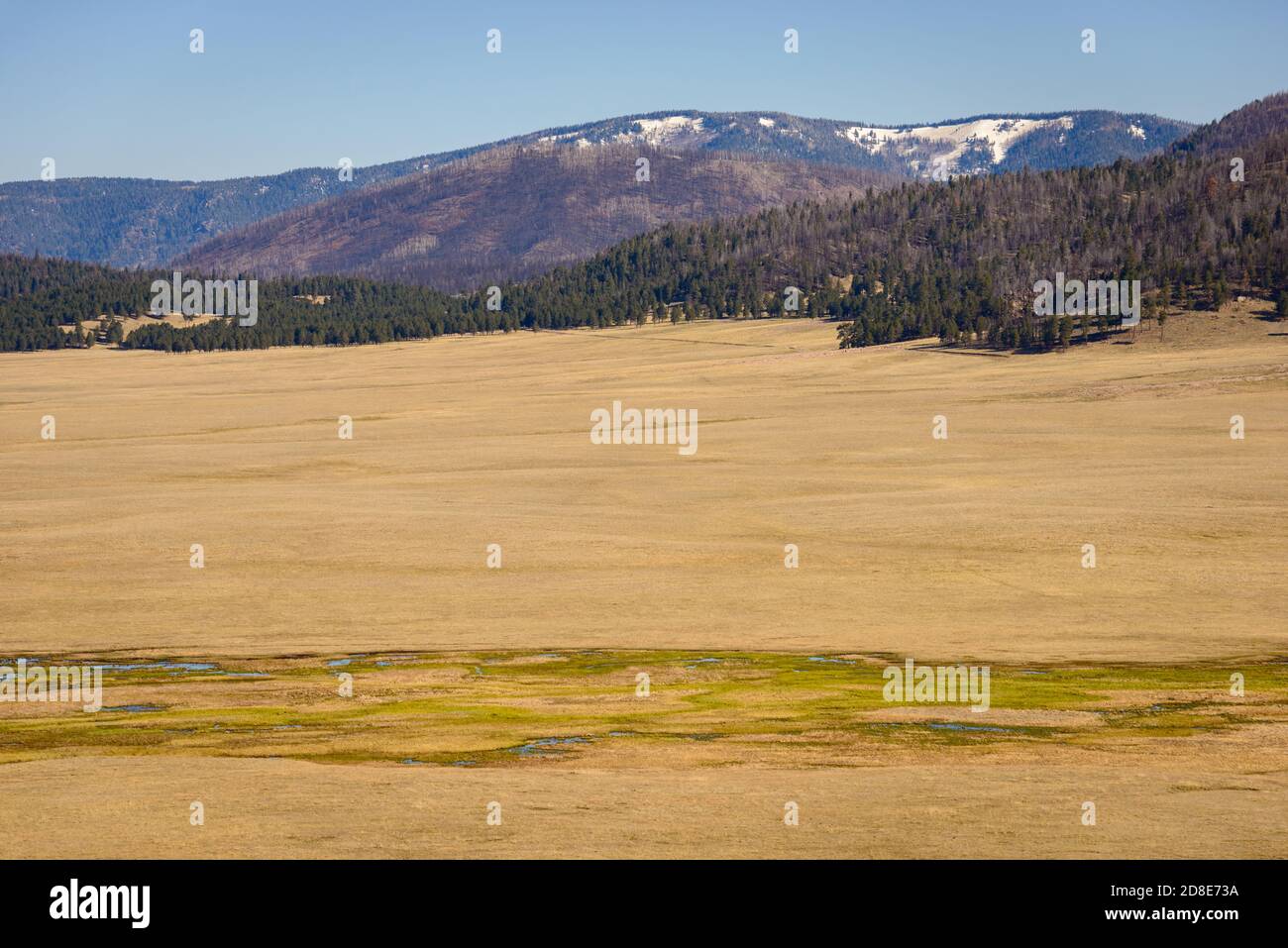 Valles Caldera National Preserve Foto Stock