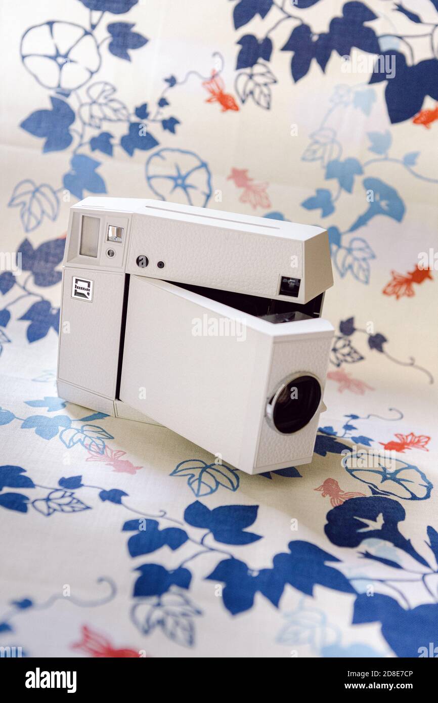 Lomography Vintage Instant Film camera su uno sfondo decorato con fiori e foglie blu e pesci rossi giapponesi Foto Stock