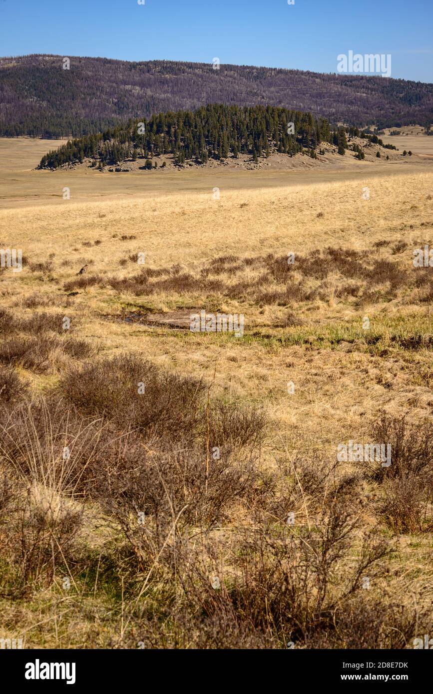 Valles Caldera National Preserve Foto Stock