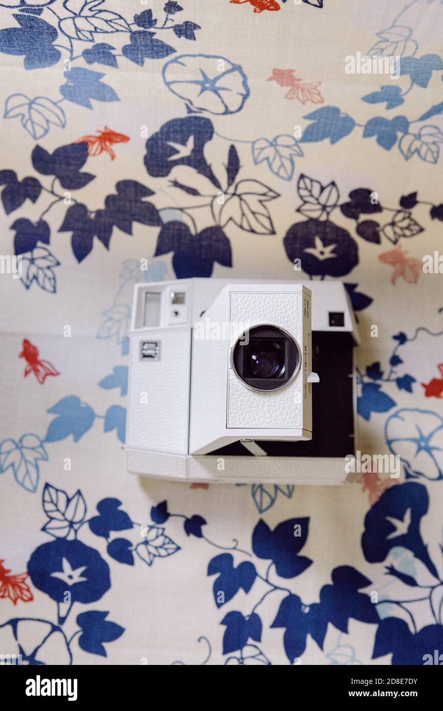 Lomography Vintage Instant Film camera su uno sfondo decorato con fiori e foglie blu e pesci rossi giapponesi Foto Stock