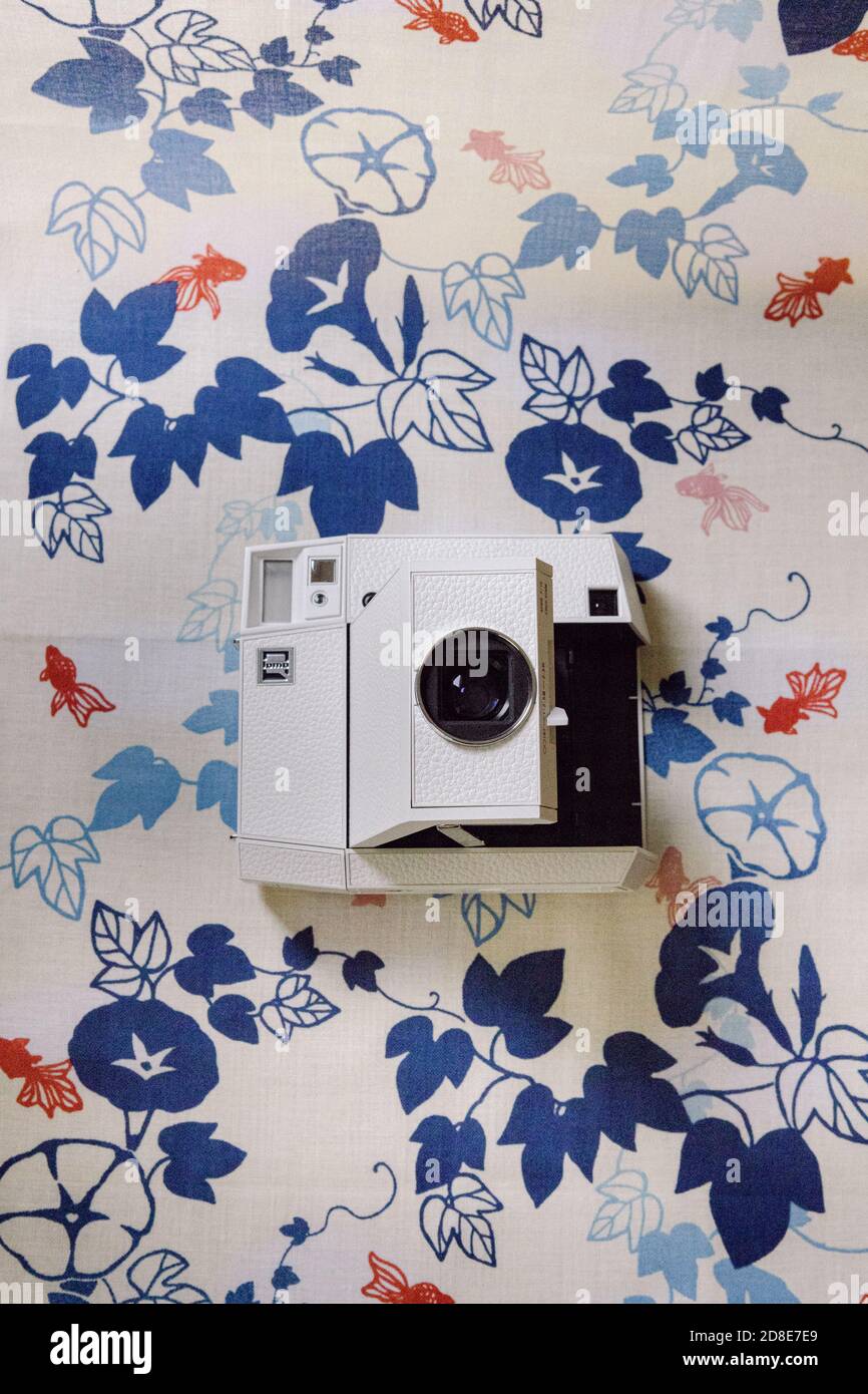 Lomography Vintage Instant Film camera su uno sfondo decorato con fiori e foglie blu e pesci rossi giapponesi Foto Stock