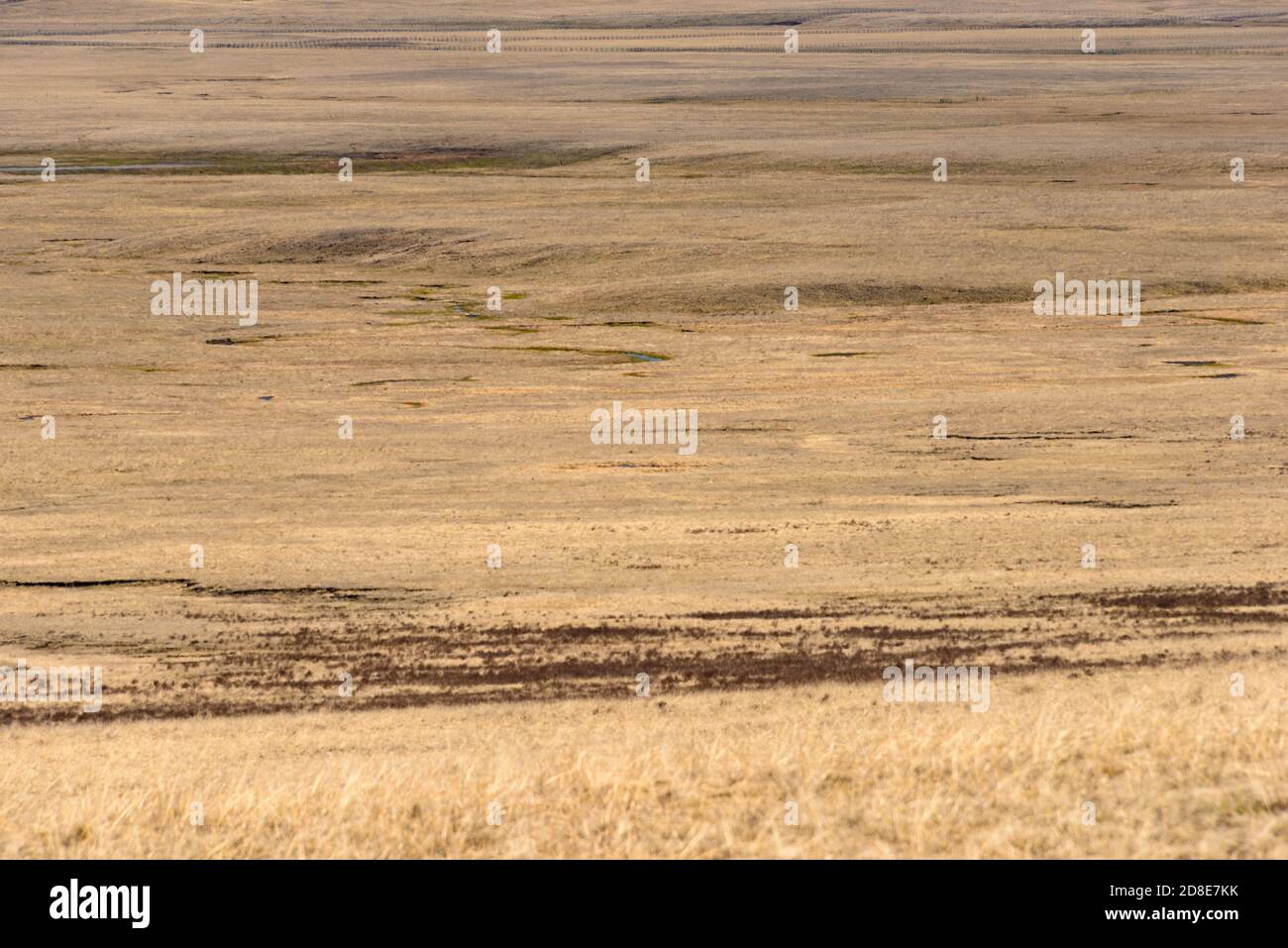 Valles Caldera National Preserve Foto Stock