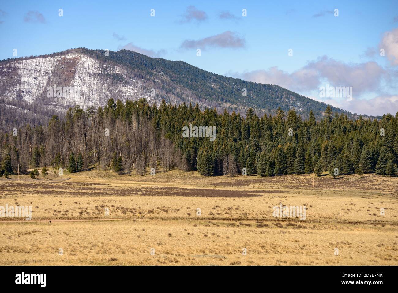 Valles Caldera National Preserve Foto Stock
