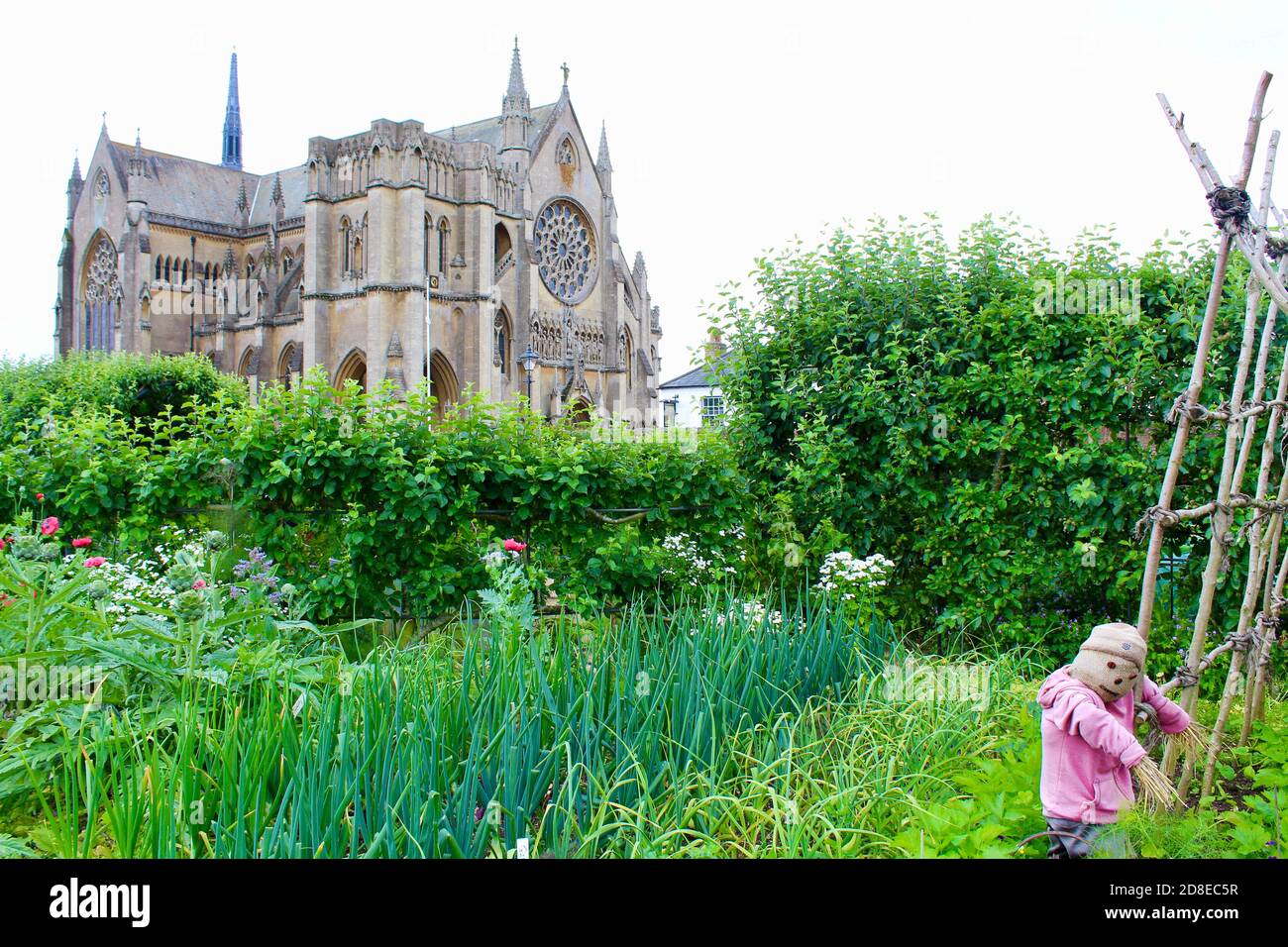Arundel Cattedrale come vista dal giardino di verdure a Arundel Giardini del castello Foto Stock