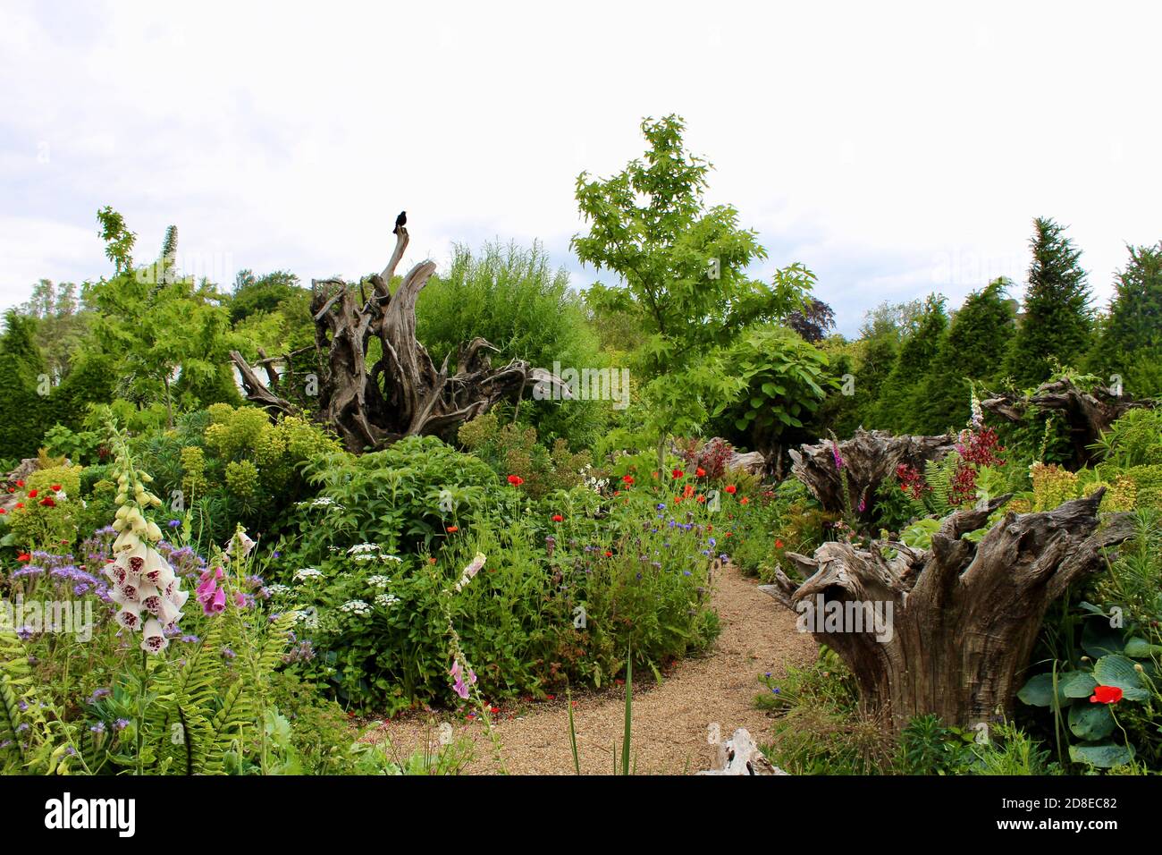 Non spesso visto arundel Castello Giardino stumpery. Foto Stock