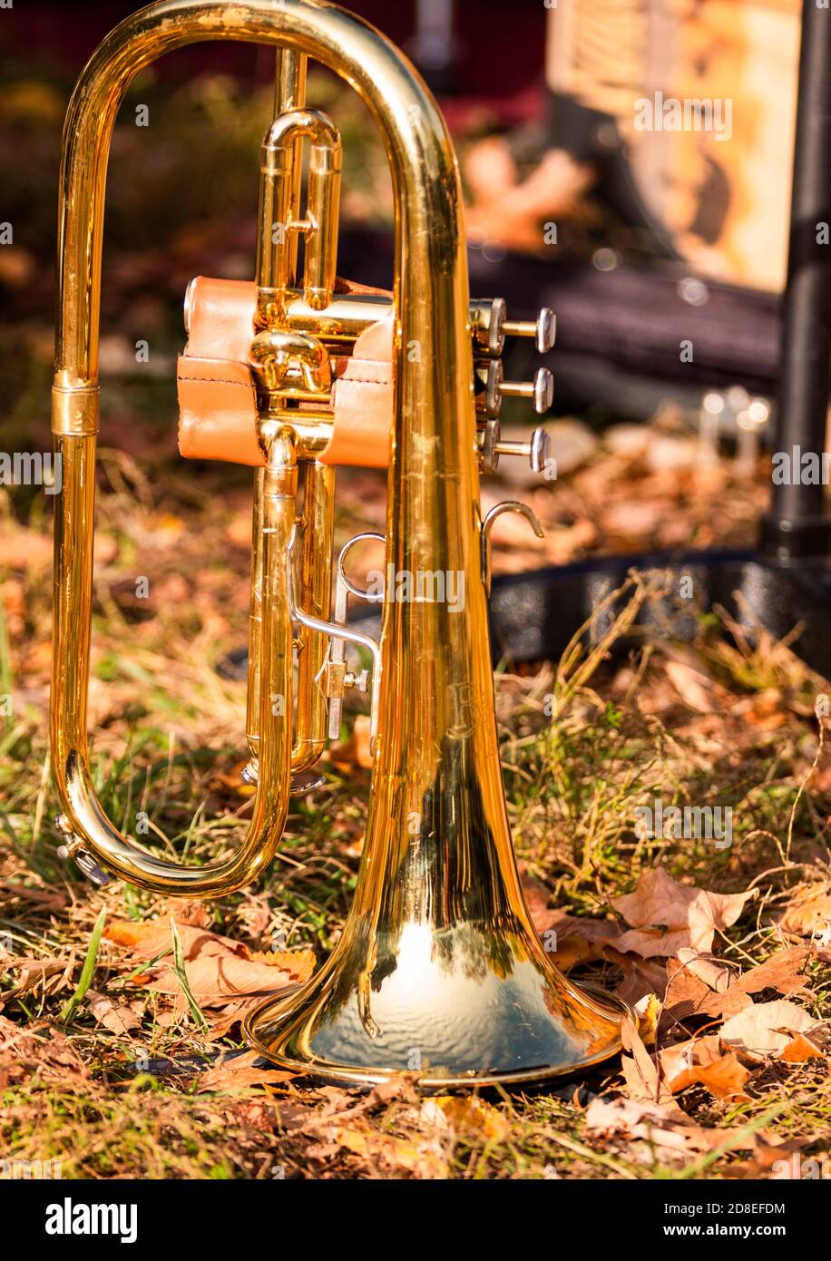 Jazz nel Parco Foto Stock