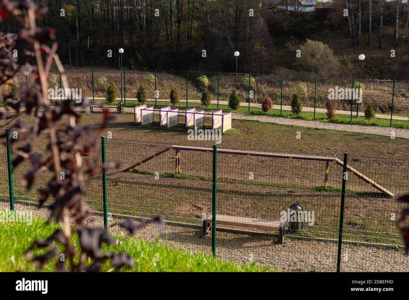 Parco giochi per cani nel parco per camminare sullo sfondo della foresta di natura Foto Stock