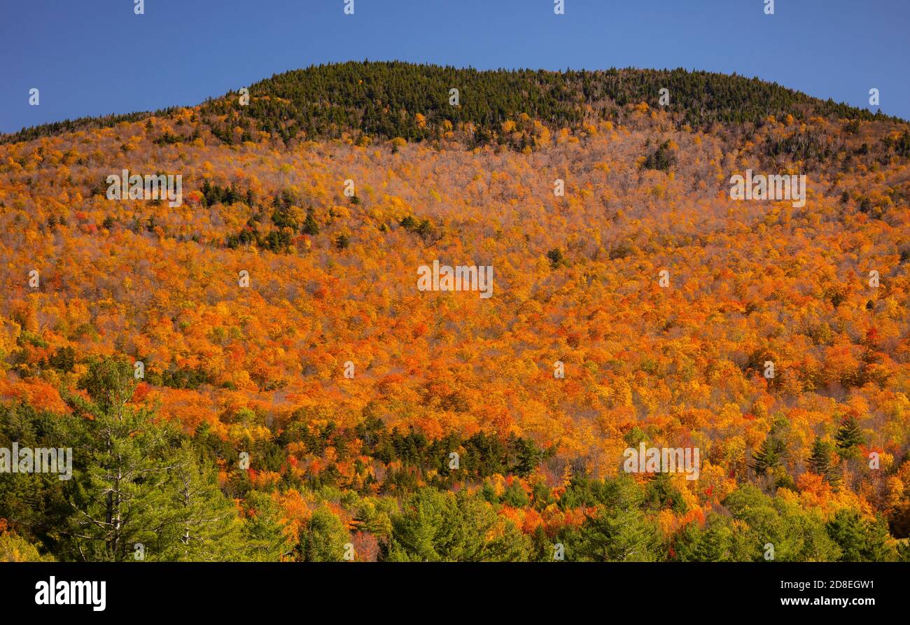 WARREN, VERMONT, Stati Uniti d'America - fogliame autunnale in Mad River Valley, Green Mountains. Foto Stock