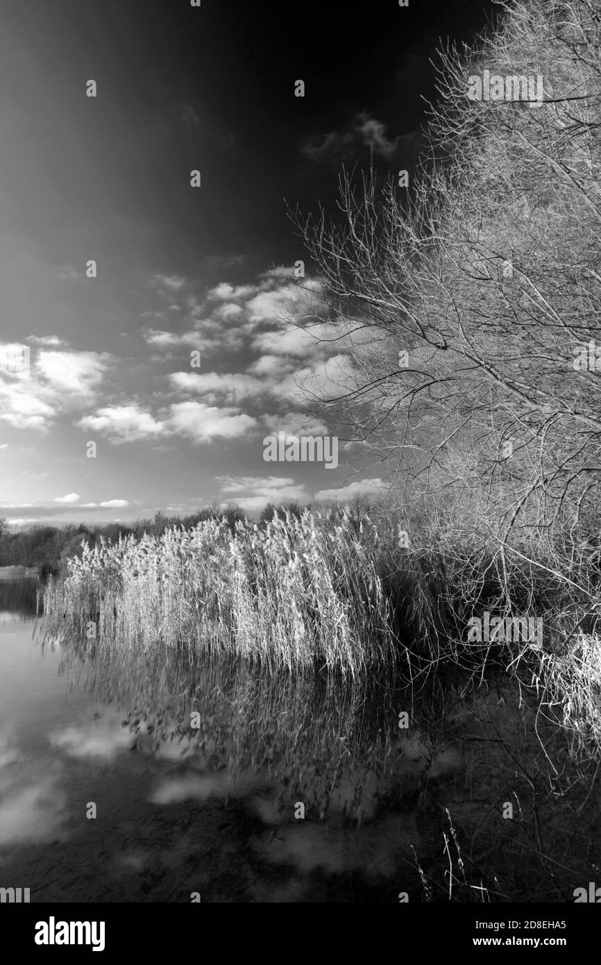 I colori del tramonto autunnale su un pozzo della Fenland, vicino a Ely, Cambridgeshire County, Inghilterra Foto Stock