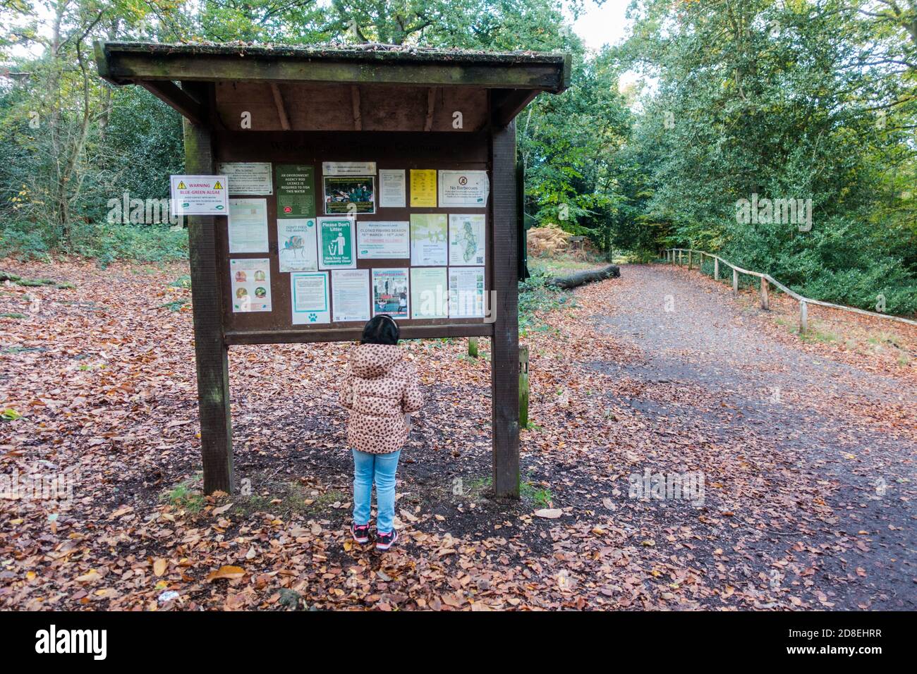 Un bambino di sei anni che guarda i poster in bacheca nello spazio verde di Bromley, Kent, Inghilterra Foto Stock