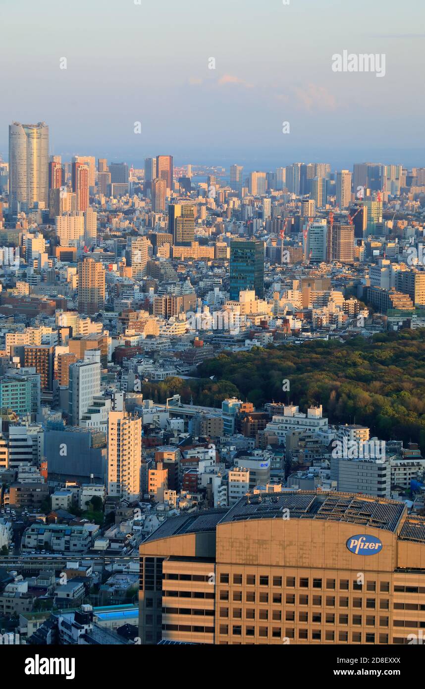 La vista del paesaggio urbano di Tokyo con il Parco Yoyogi In primo piano dall'osservatorio sud del Governo Metropolitano di Tokyo Building.Shinjuku.Tokyo.Japan Foto Stock