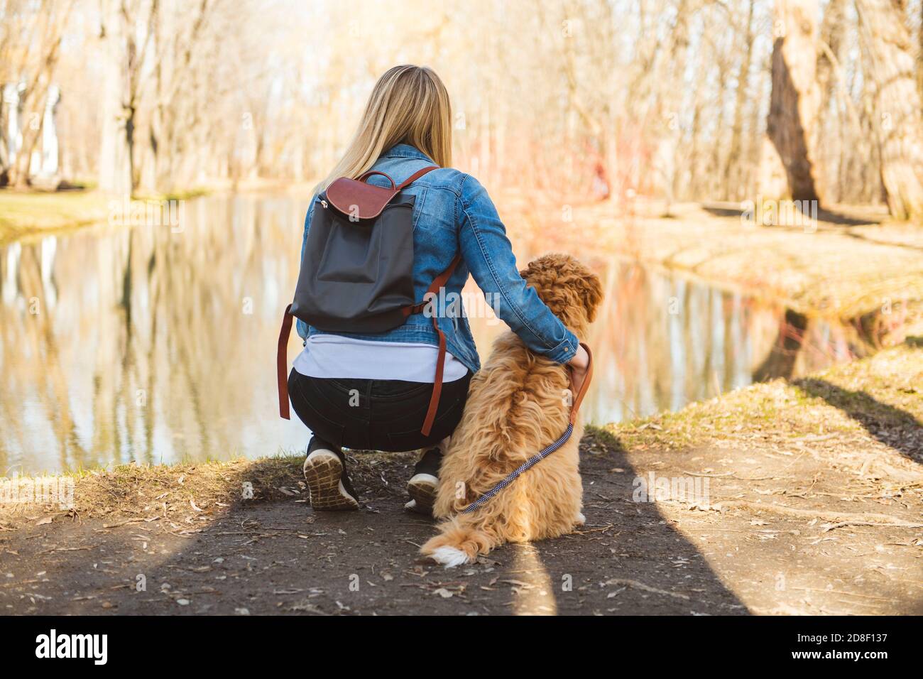 Labradoodle cane e la donna vista dal retro all'esterno al parcheggio Foto Stock