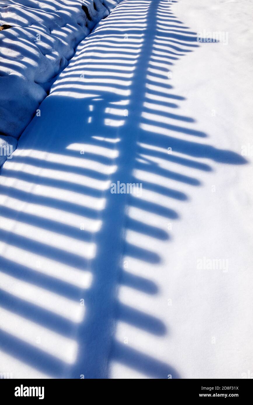 Picket recinzione diffonde ombre e modelli su neve fresca; Salida; Colorado; USA Foto Stock