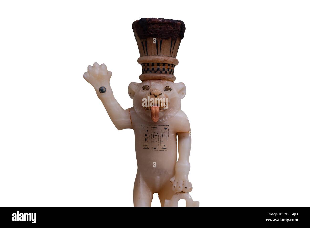 Un gatto egiziano con sfondo bianco Foto Stock