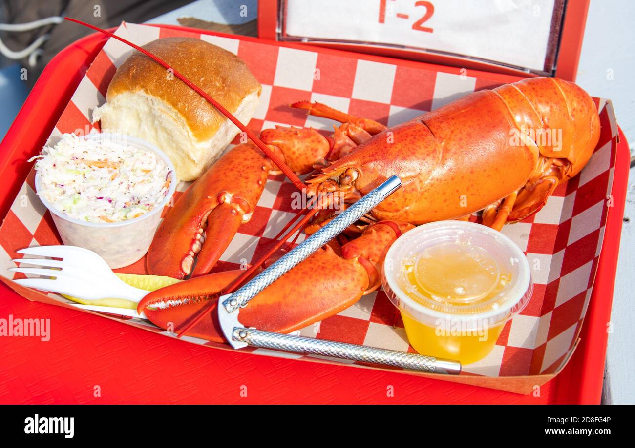 Aragosta intera, McLoons Lobster Shack, South Thomaston, Maine, Stati Uniti Foto Stock