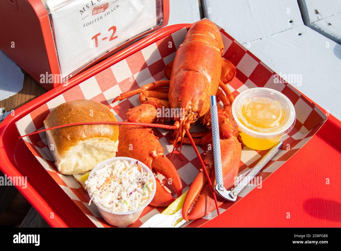 Aragosta intera, McLoons Lobster Shack, South Thomaston, Maine, Stati Uniti Foto Stock