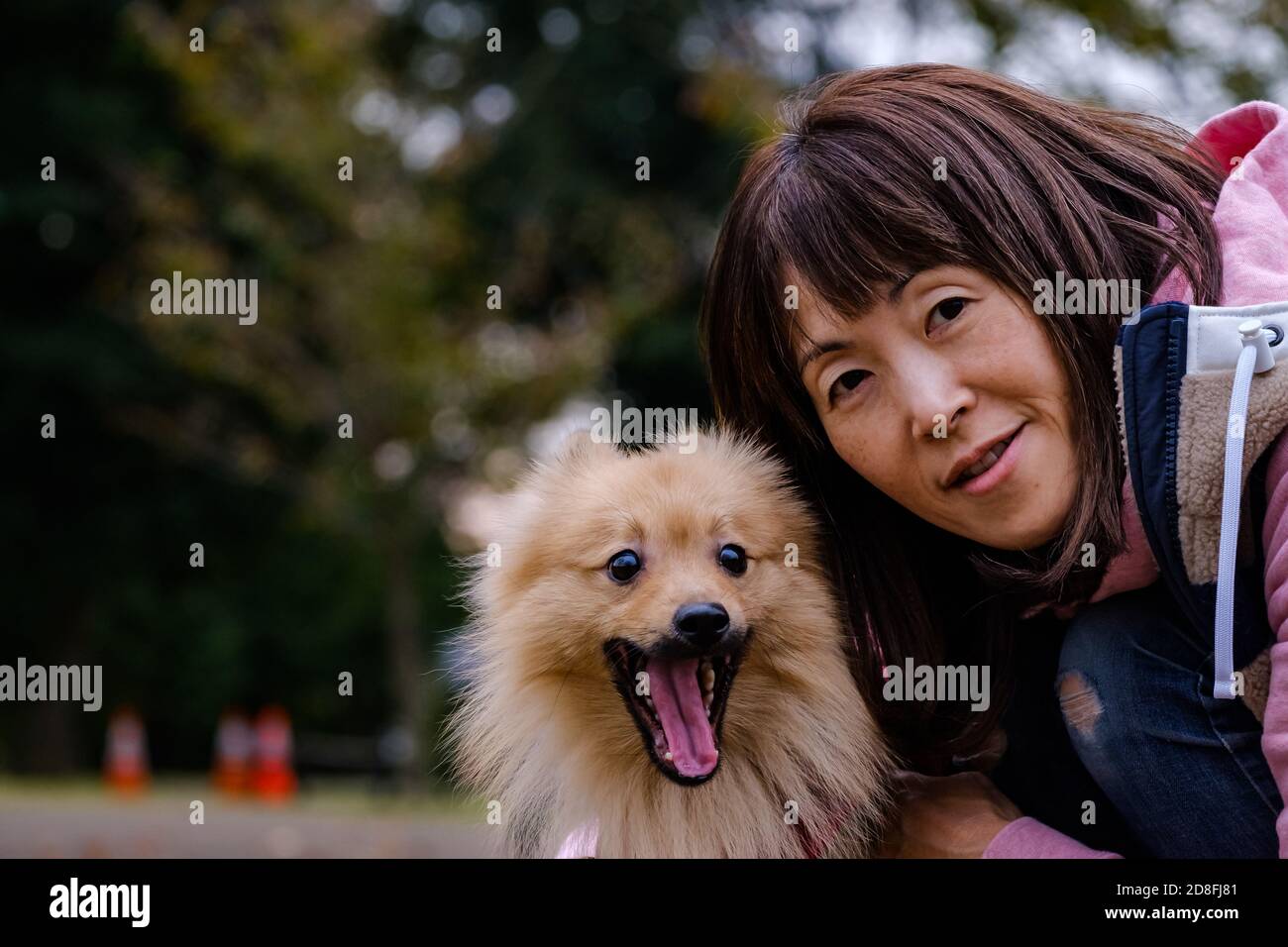 Una ragazza e il suo cane Foto Stock